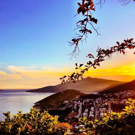 Valo Kalkan