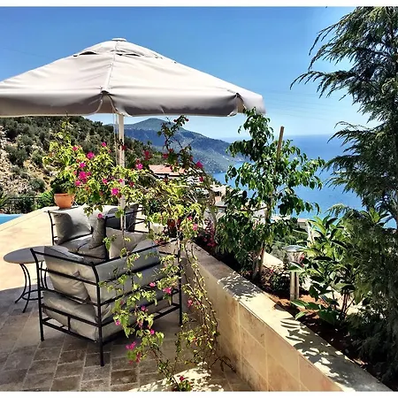 Valo Kalkan